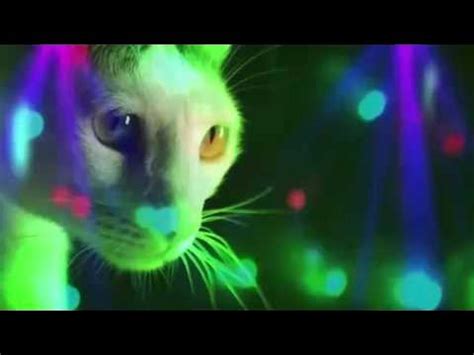 Meow Meow - Meow Meow Meow (Original Mix) - YouTube