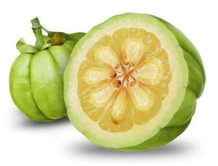 What are the Uses and Health Benefits of Garcinia Cambogia (Garcinia ...