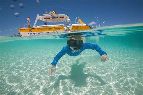 Enjoy a half-day Snorkel & Conch Cruise, ideal for families visiting ...