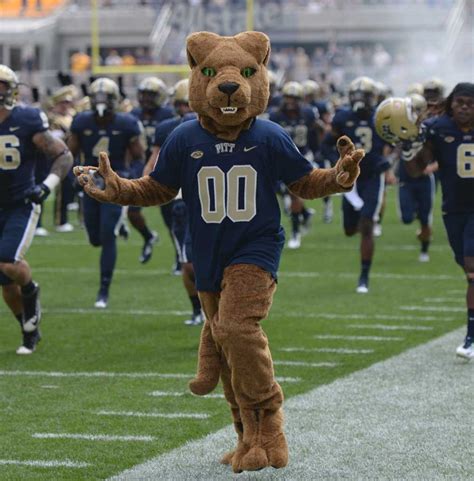 Roc-Star: the life of a college mascot - The Pitt News