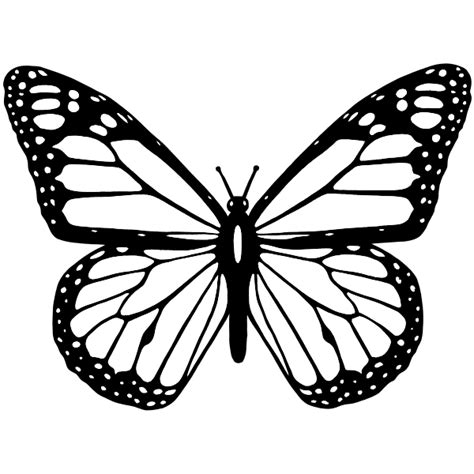 Vector clip art of black and white butterfly with wide spread wings ...