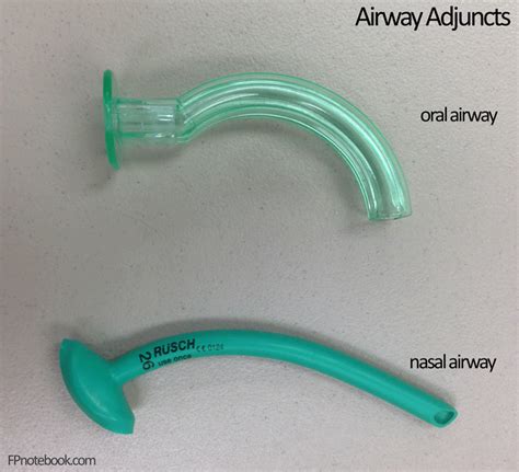 Oropharyngeal Airway And Nasopharyngeal Airway