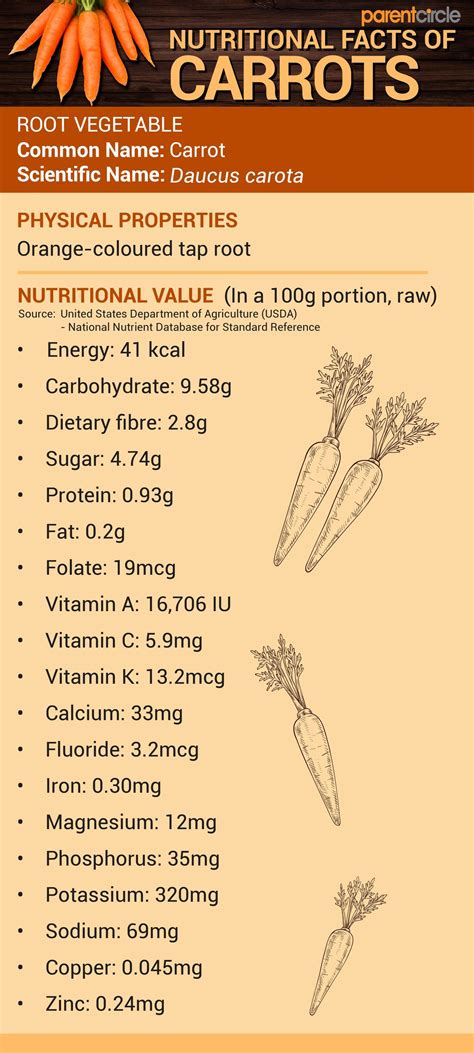 Carrot Nutritional Value per 100g, Carrot Nutrition Facts & Health ...