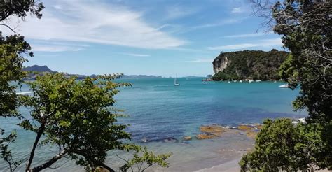 The best walks in the Coromandel Peninsula | Ensemble Magazine