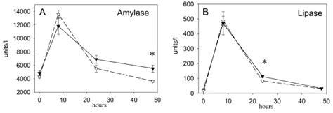 What Is The Difference Between Lipase And Amylase Activity - Infoupdate.org