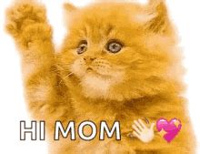 Hi Mom Coffee GIF - Hi Mom Coffee Mom - Discover & Share GIFs