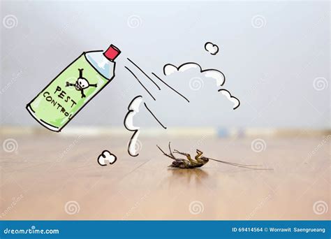 Dead Cockroach on Floor , Pest Control Concept Stock Photo - Image of ...