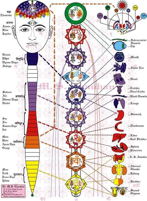 Spirituality-Network.com: The 9 Chakras Chart | Медитация для чакр ...