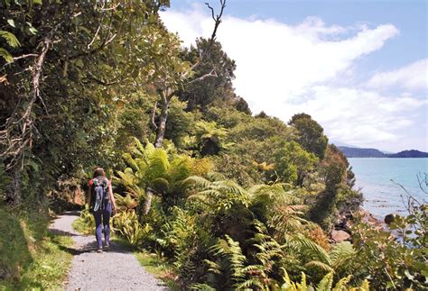 Hiking the Rakiura Track on Stewart Island — Travels Of A Bookpacker