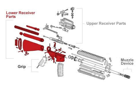 AR-15 Parts & Components | Diagram of Rifle Breakdown