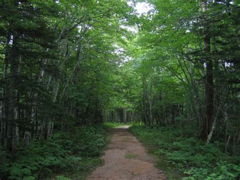 Cape Breton Highlands National Park