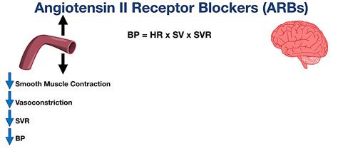 Angiotensin II Receptor Blockers (ARBs): Indications, Side Effects ...