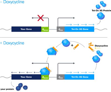 Tet-One technology overview