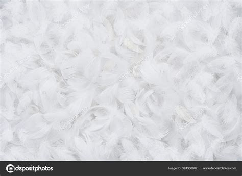 White feather background, texture Stock Photo by ©Rangizzz 324360602