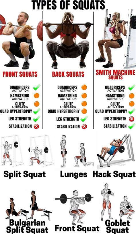 squat guide | Squat workout, Types of squats, Squats workout plan