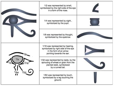 Image result for the eye of horus taste thinking | Horus tattoo ...