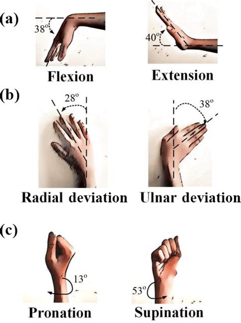 Hand mobility exercise: Health benefits, How to Do? Variations | Mobile P