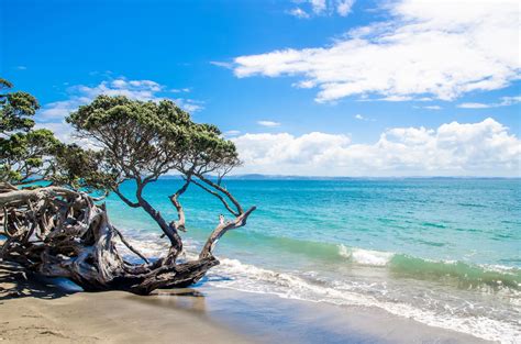 Exploring the Whangaparaoa Peninsula, North Auckland