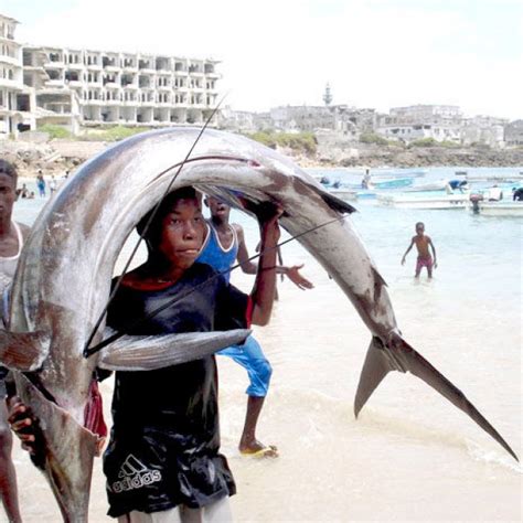 Somalia: Evicting Foreign Vessels: Only Half a Solution to Guarding Our ...