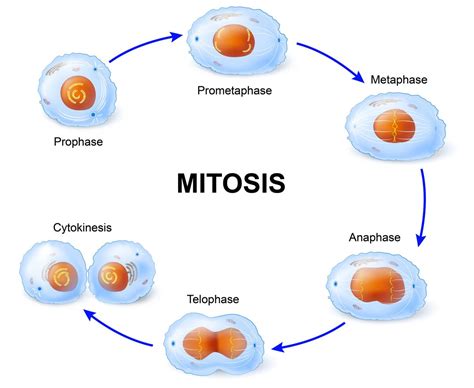 ABIOGENESIS – Biological Science