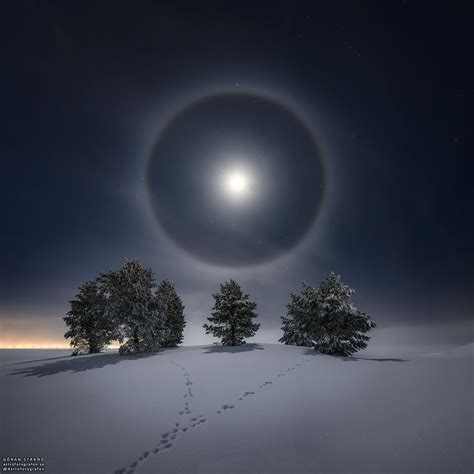 APOD: 2021 February 1 - Lunar Halo over Snowy Trees