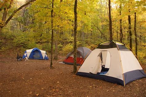 HOUCHINS FERRY CAMPGROUND - Reviews (Mammoth Cave National Park, KY)