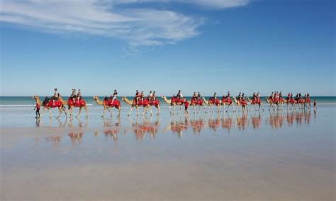 Broome Cable Beach Morning Camel Ride | Experience Oz