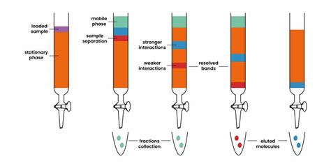 Column Chromatography Made Simple: An Easy to Follow Guide