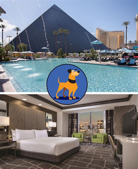 Pet Friendly Hotels Near Las Vegas Convention Center at Adele Mahar blog