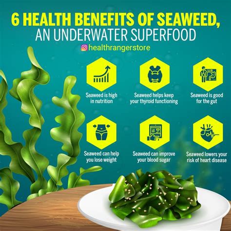 6 Health benefits of seaweed | Health, Nutrition, Health education