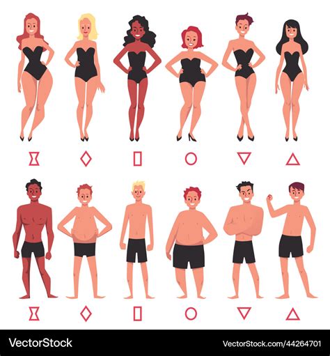 Human body types of female and male set flat Vector Image