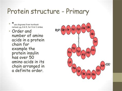 PPT - Protein structure - Primary PowerPoint Presentation, free ...