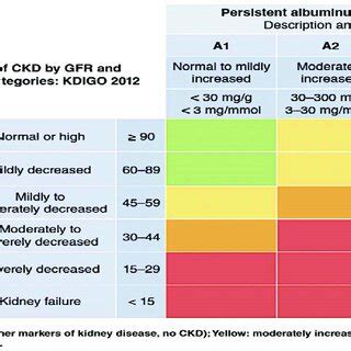 Pillars of Therapy to Reduce Cardio-Renal Risk by Year Approved. Note ...