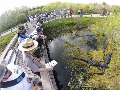 Everglades National Park is Open - Everglades National Park (U.S ...