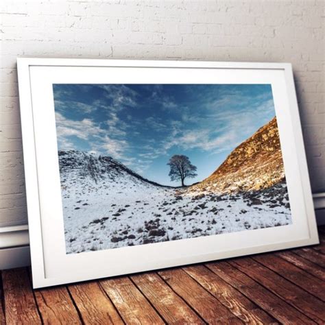 Sycamore Gap Winter - Northern Landscapes by Steven Iceton