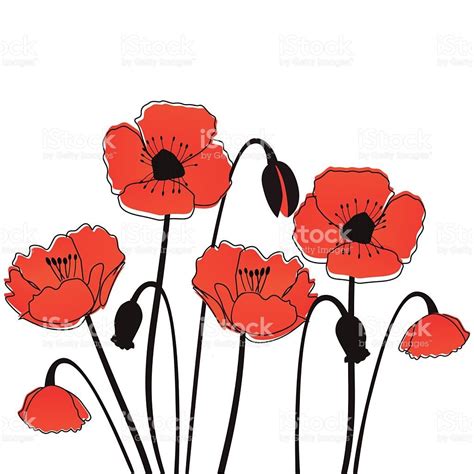 Image result for poppy flower illustration | Poppy flower drawing ...