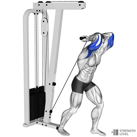 Overhead Cable Tricep Extension