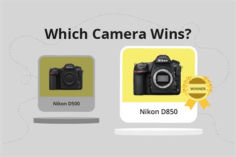 Nikon D500 vs D850 (Which is Better in 2024?)