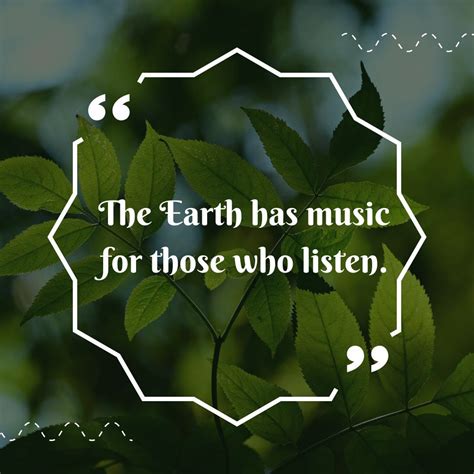 30 Nature Quotes That Inspire Wonder | by Pathumchathuranga | Medium