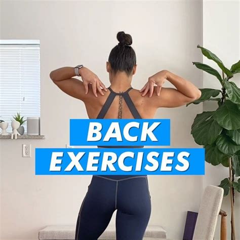 Charlee Atkins, CSCS on Instagram: “BACK EXERCISES = pulling exercises ...