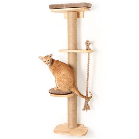 Buy FUKUMARU Cat Scratching Activity Tree Wall ed, 51" Cat Scratch Post ...