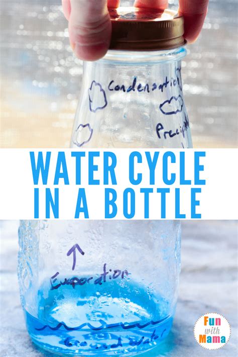 Water Cycle in a Bottle - Water Cycle Activity for Earth Day - Fun with ...