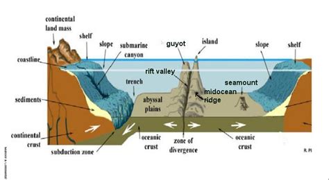 Ocean Floor Features Worksheets | Earth and space science, Ocean, 6th ...