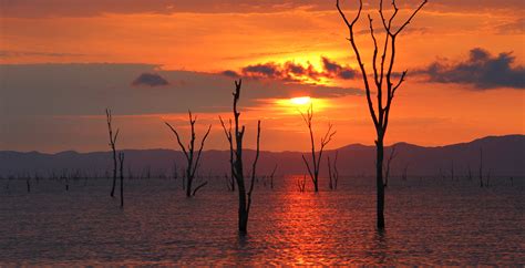 Bespoke Safaris in Lake Kariba, Zimbabwe - Journeys by Design