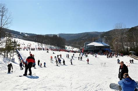 Massanutten Resort • Ski Holiday • Reviews • Skiing