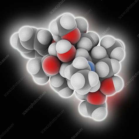 Aconitine poison molecule - Stock Image - C025/3337 - Science Photo Library