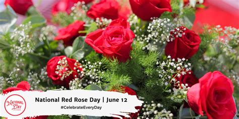 NATIONAL RED ROSE DAY - June 12 - National Day Calendar