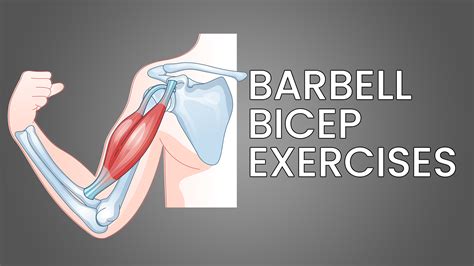 6 Best Barbell Bicep Exercises (with Pictures!) - Inspire US