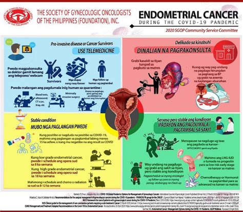 COVID-19 Infographics – Bisaya – Society of Gynecologic Oncologists of ...