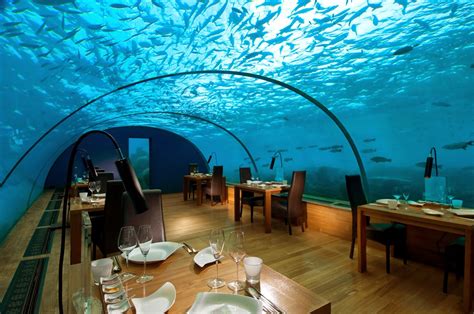 10 most beautiful restaurants in the world - Celebrity Like and Shared